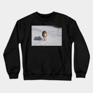 Running free in the snow Crewneck Sweatshirt